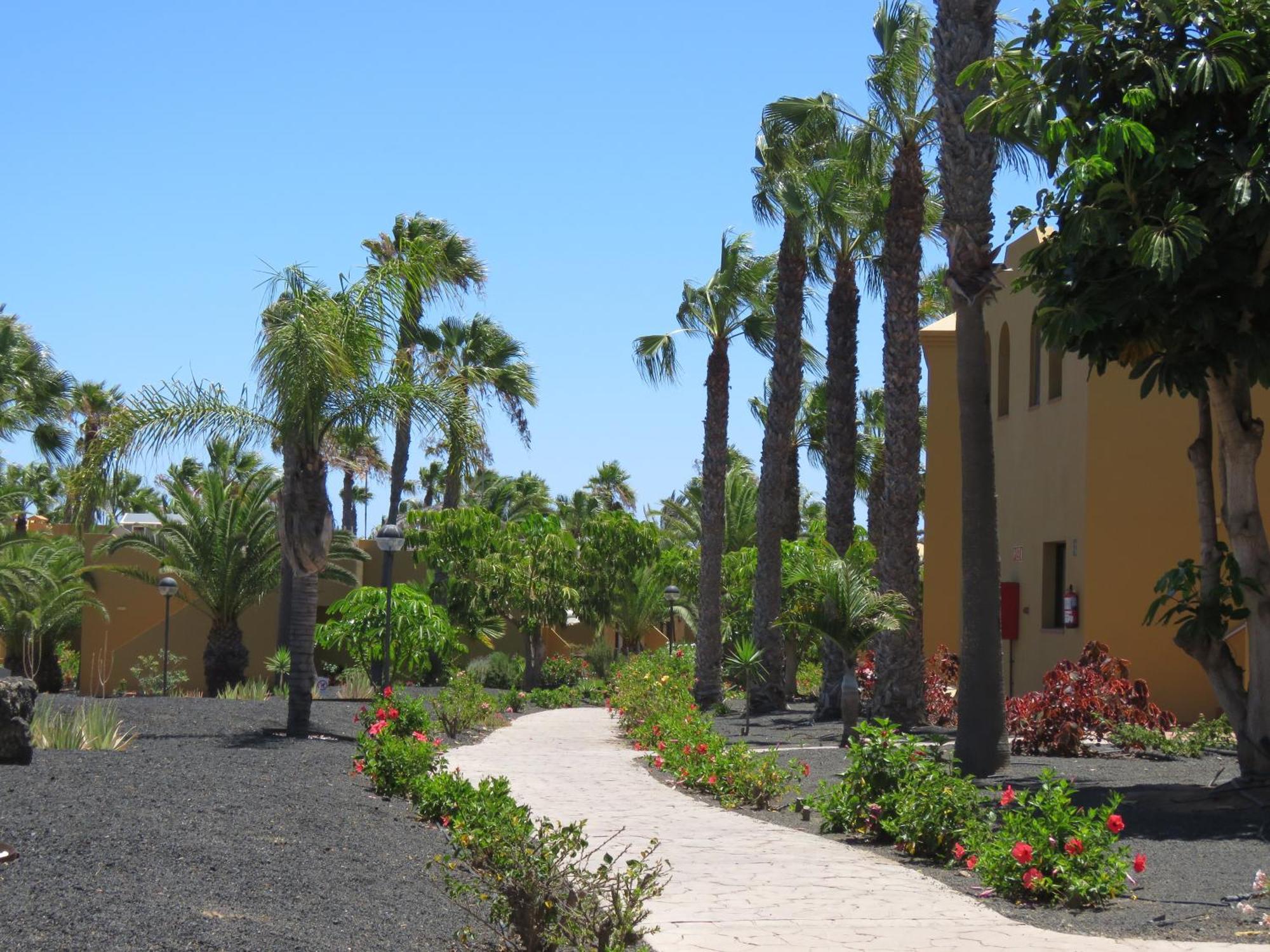 Appartement Casa Mona à Corralejo Extérieur photo